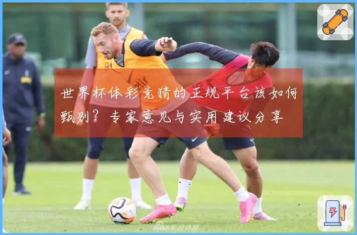 世界杯体彩竞猜的正规平台该如何甄别？专家意见与实用建议分享