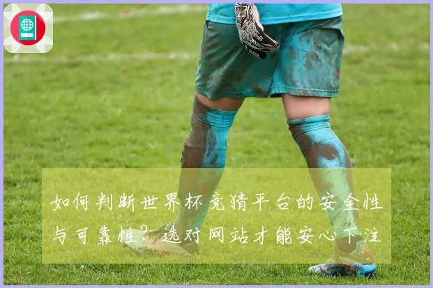 如何判断世界杯竞猜平台的安全性与可靠性？选对网站才能安心下注！