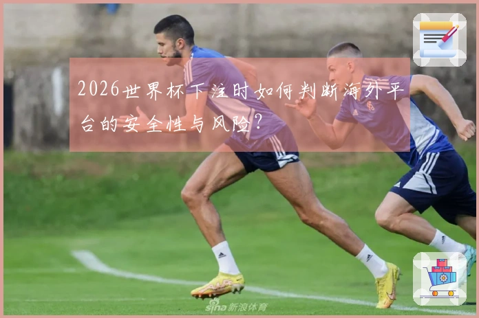 2026世界杯下注时如何判断海外平台的安全性与风险？