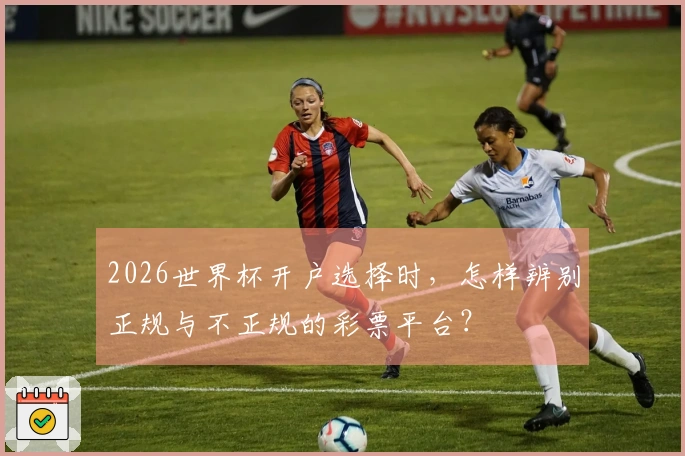2026世界杯开户选择时，怎样辨别正规与不正规的彩票平台？