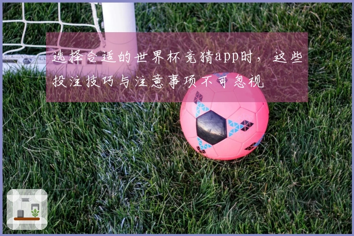 选择合适的世界杯竞猜app时，这些投注技巧与注意事项不可忽视