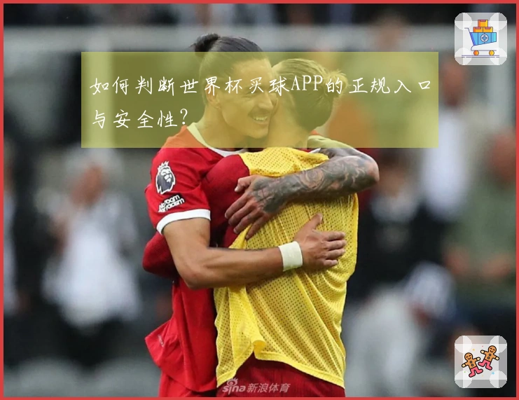 如何判断世界杯买球APP的正规入口与安全性？