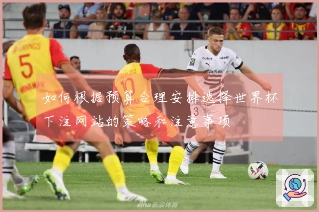 如何根据预算合理安排选择世界杯下注网站的策略和注意事项