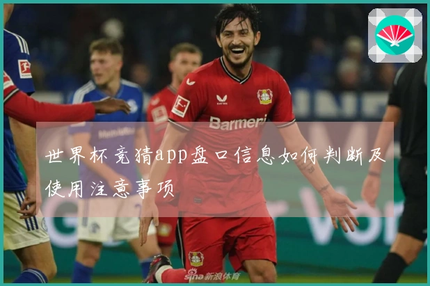 世界杯竞猜app盘口信息如何判断及使用注意事项