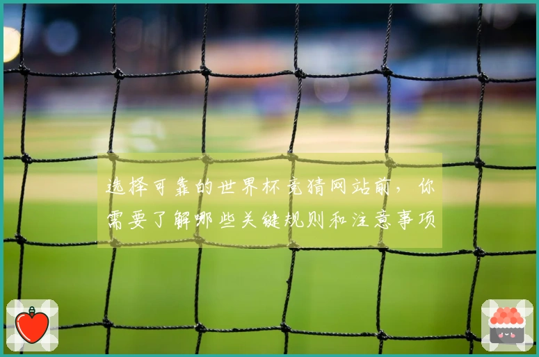 选择可靠的世界杯竞猜网站前，你需要了解哪些关键规则和注意事项？