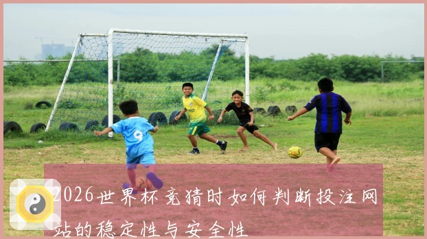 2026世界杯竞猜时如何判断投注网站的稳定性与安全性