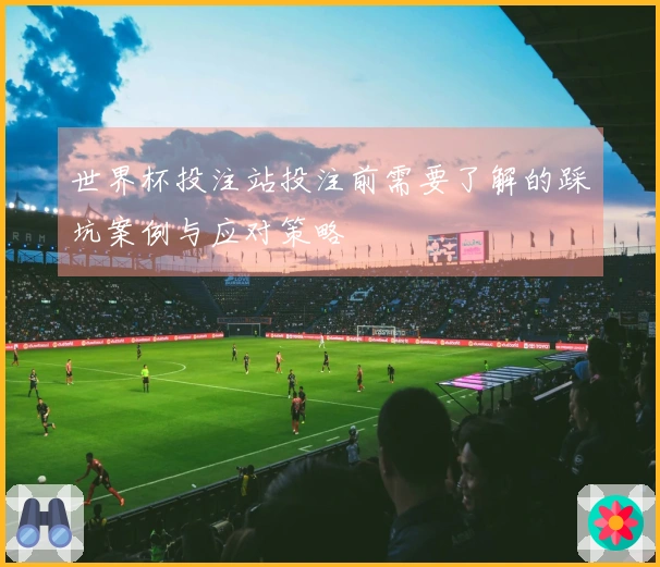 世界杯投注站投注前需要了解的踩坑案例与应对策略
