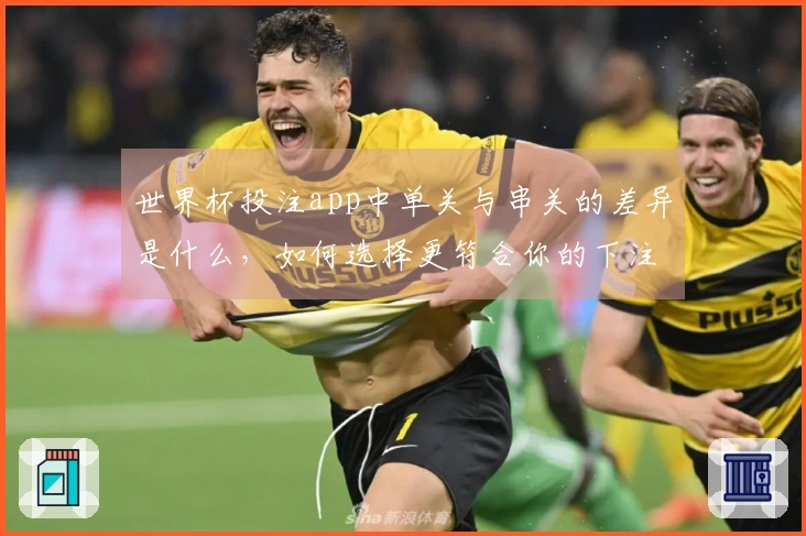 世界杯投注app中单关与串关的差异是什么，如何选择更符合你的下注需求？