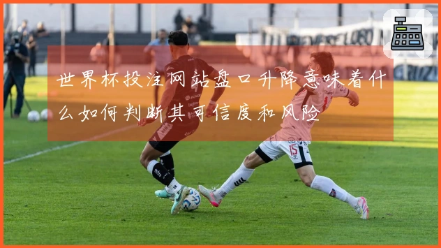 世界杯投注网站盘口升降意味着什么如何判断其可信度和风险
