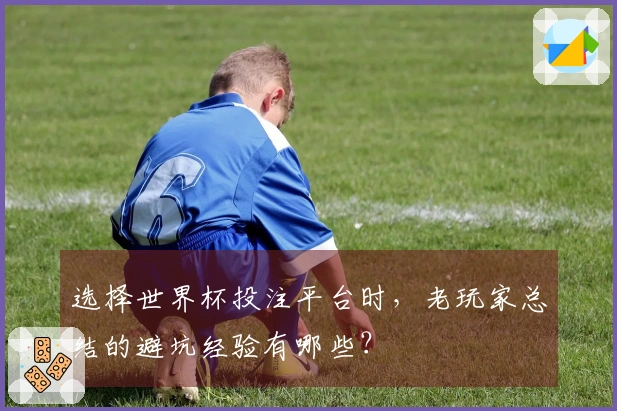 选择世界杯投注平台时，老玩家总结的避坑经验有哪些？