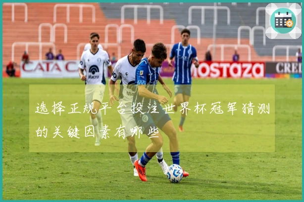 选择正规平台投注世界杯冠军猜测的关键因素有哪些