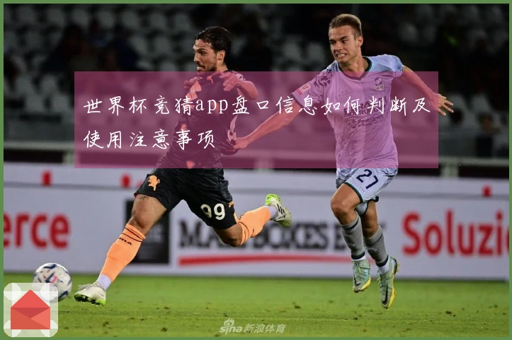 世界杯竞猜app盘口信息如何判断及使用注意事项