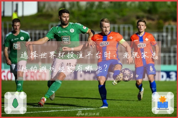 选择世界杯投注平台时，老玩家总结的避坑经验有哪些？