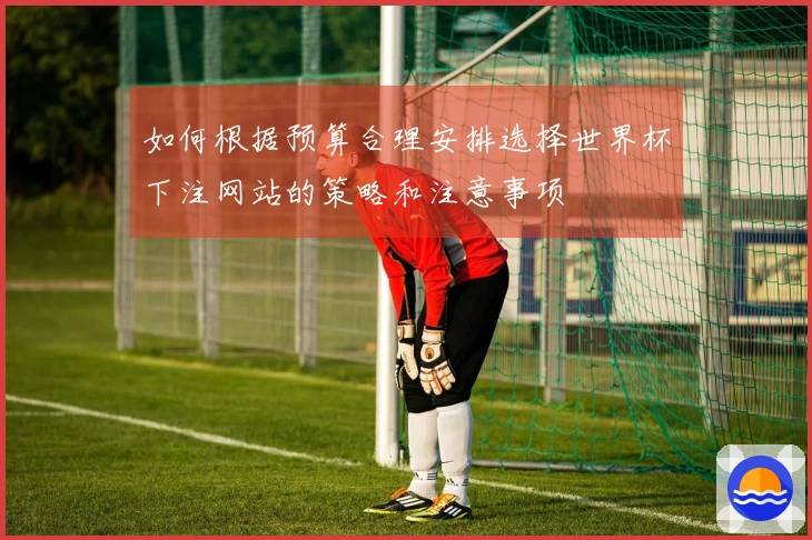 如何根据预算合理安排选择世界杯下注网站的策略和注意事项