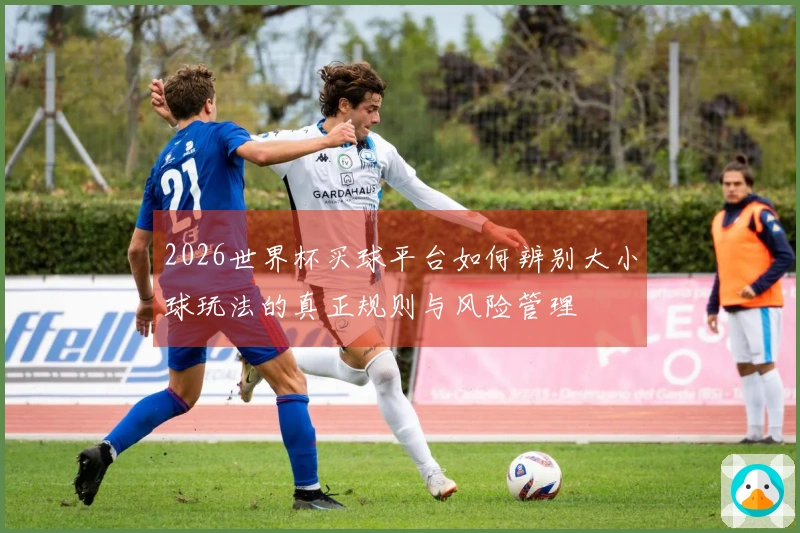 2026世界杯买球平台如何辨别大小球玩法的真正规则与风险管理