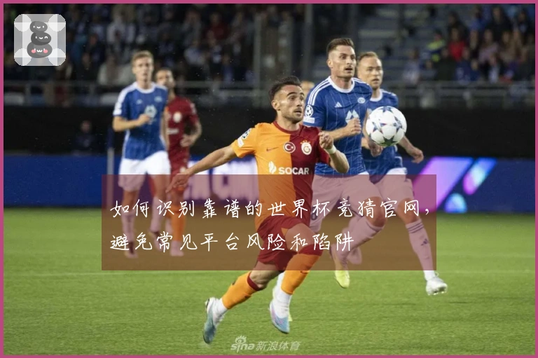 如何识别靠谱的世界杯竞猜官网，避免常见平台风险和陷阱