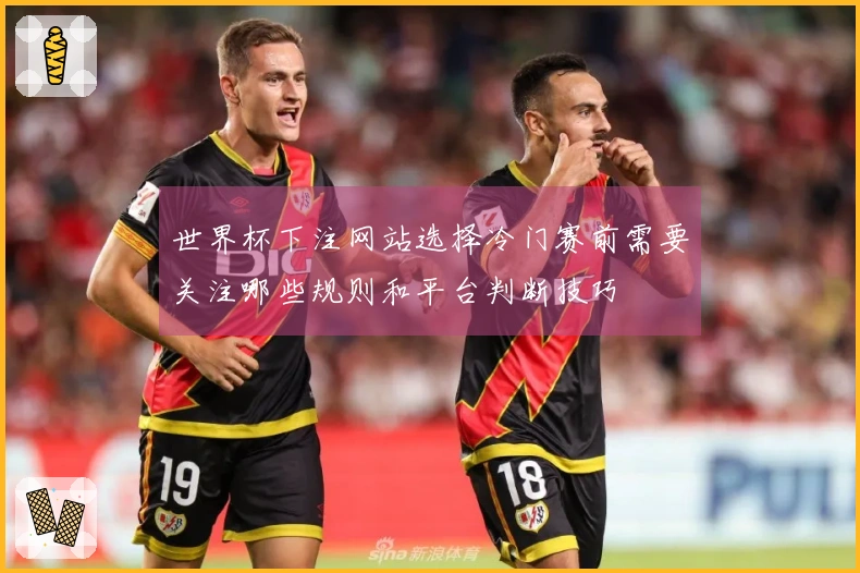 世界杯下注网站选择冷门赛前需要关注哪些规则和平台判断技巧