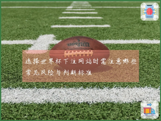 选择世界杯下注网站时需注意哪些常见风险与判断标准