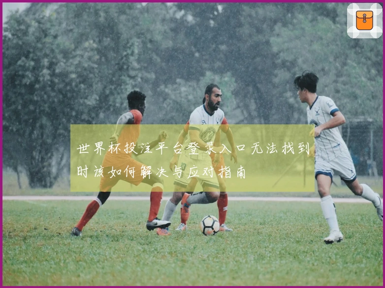 世界杯投注平台登录入口无法找到时该如何解决与应对指南